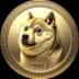 Doge2014 ICO (DOGE2014) - Review