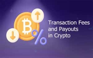 A Comprehensive Guide to Transaction Fees and Payouts in the Cryptocurrency World