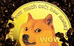 Shiba Inu's Impact on Traditional Finance: Bridging the Gap
